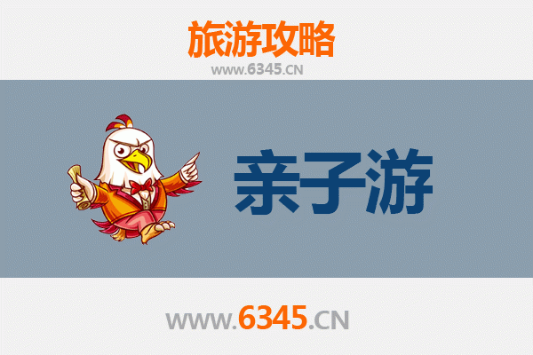中卫沙坡头亲子游全攻略：沙漠奇遇与黄河风情之旅