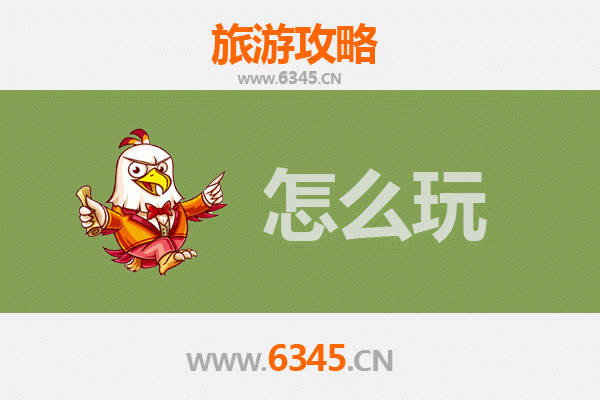 节假日中卫沙坡头全攻略：沙漠奇遇与黄河风情之旅